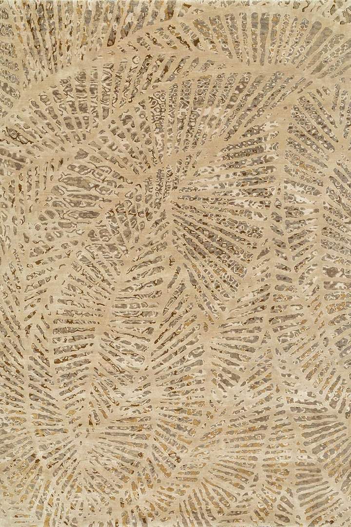 Zanzibar Oyster 1 1 6cb35954fe0e98734a7db530bf6254d6