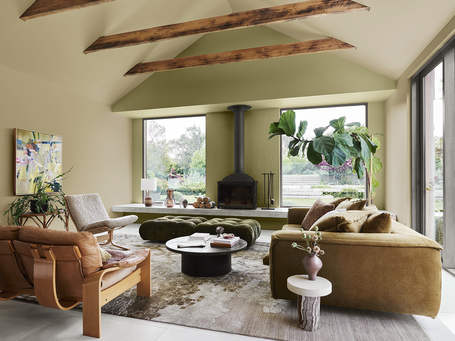 Dulux CF23 Connect Autumn 06 Low Res