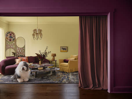 DULUX CF2027 TREASURE 007 Low Res